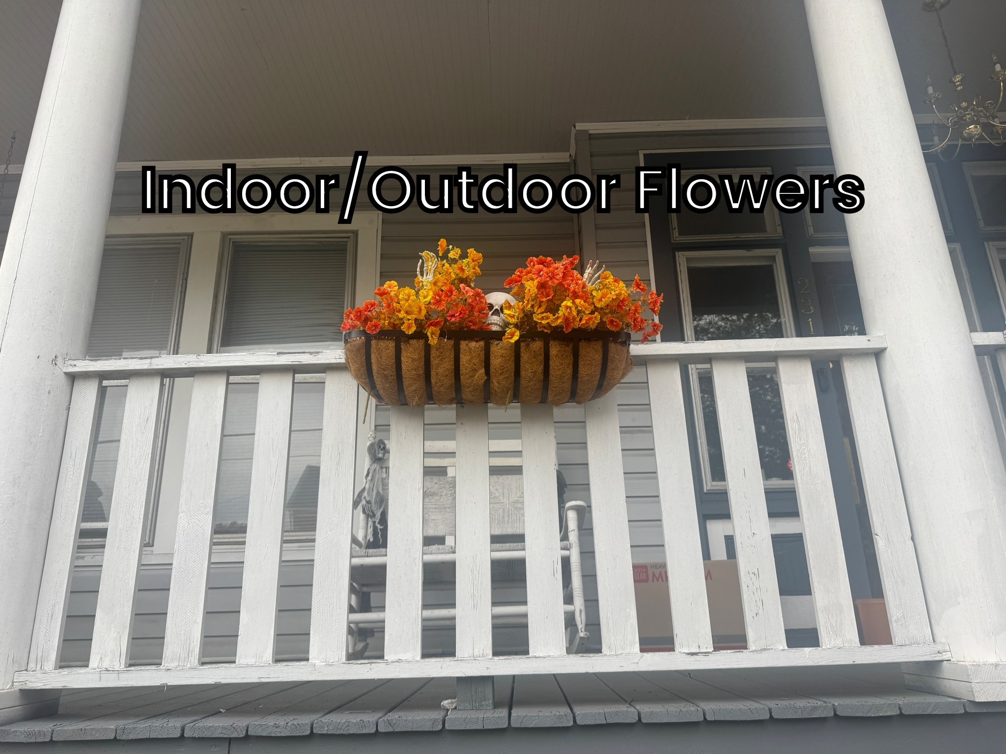 These beautiful indoor/outdoor flowers are a must have! Especially if you can’t keep plants alive! 

#LTKHalloween #LTKHome #LTKSeasonal