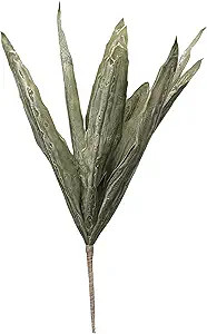 Creative Co-Op 31-1/2"H Leaf Faux Stem, Green | Amazon (US)