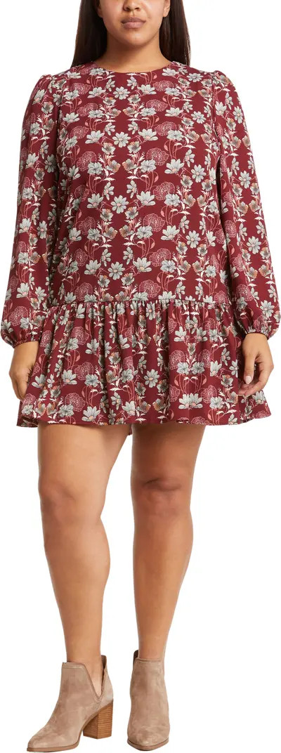 Floral Print Drop Waist Long Sleeve Dress | Nordstrom