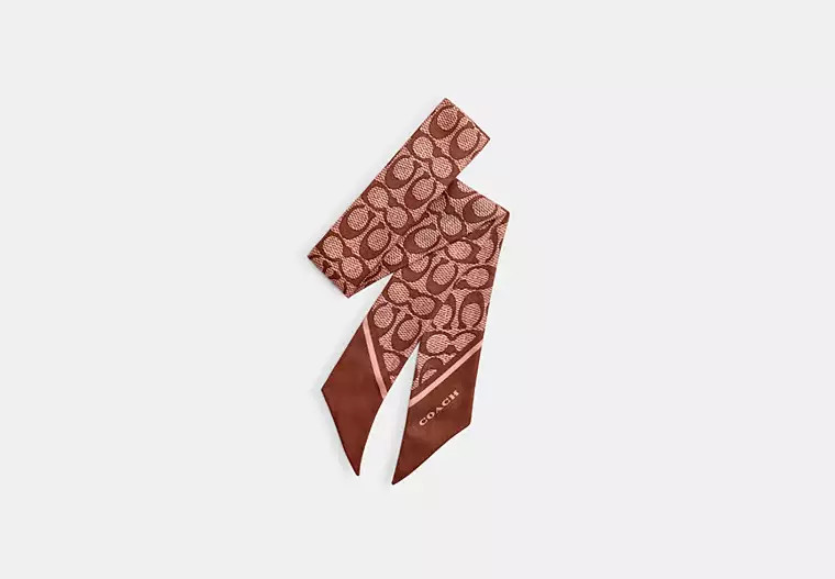 Textured Signature Print Silk Skinny Scarf | Coach (US)