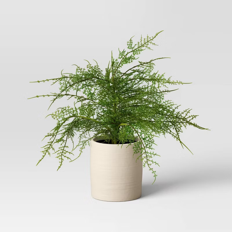 Large Asparagus Artificial Fern Leaf in Pot - Threshold™ | Target