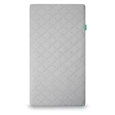 Newton Baby® Crib Mattress | buybuy BABY