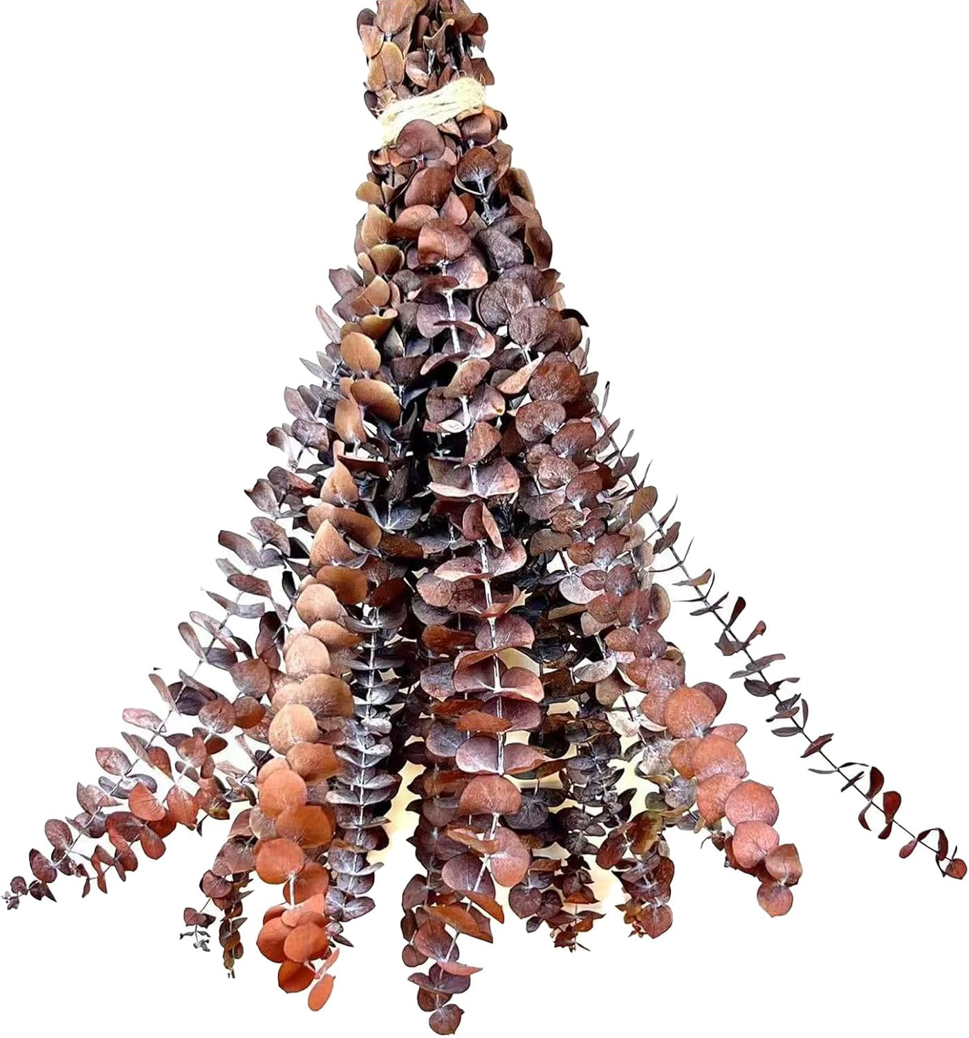 (20Pcs) Dried-Eucalyptus-Stems-Red, Fall Decorations for Home, Real Long Eucalyptus , Eucalyptus ... | Amazon (US)
