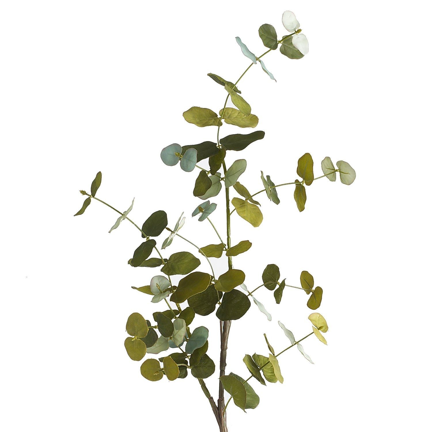 Faux Eucalyptus Stem | Pier 1 Imports
