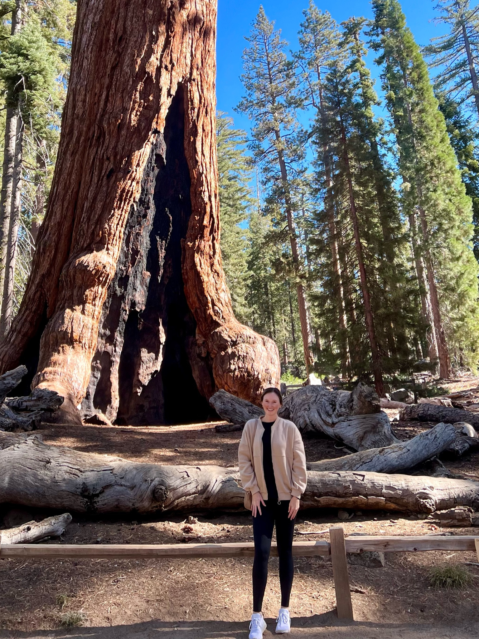 Casual fall outfit. Active fall outfit. Grocery store outfit. Tan beige casual jacket, black leggings, black top, white sneakers 

#LTKFitness #LTKActive #LTKTravel