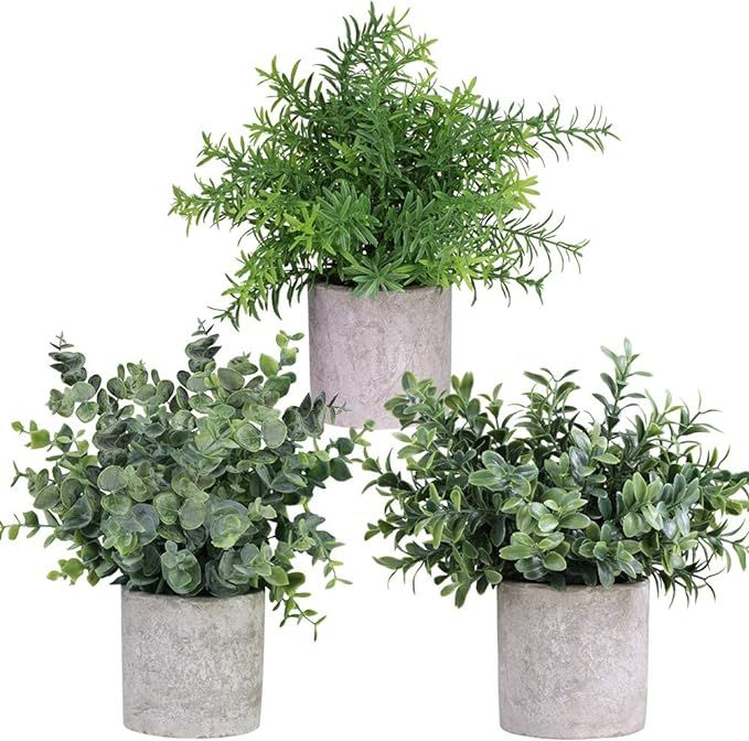 Mini Potted Plants Artificial Eucalyptus Boxwood Rosemary Greenery in Pots Faux Potted Herbs Smal... | Amazon (US)