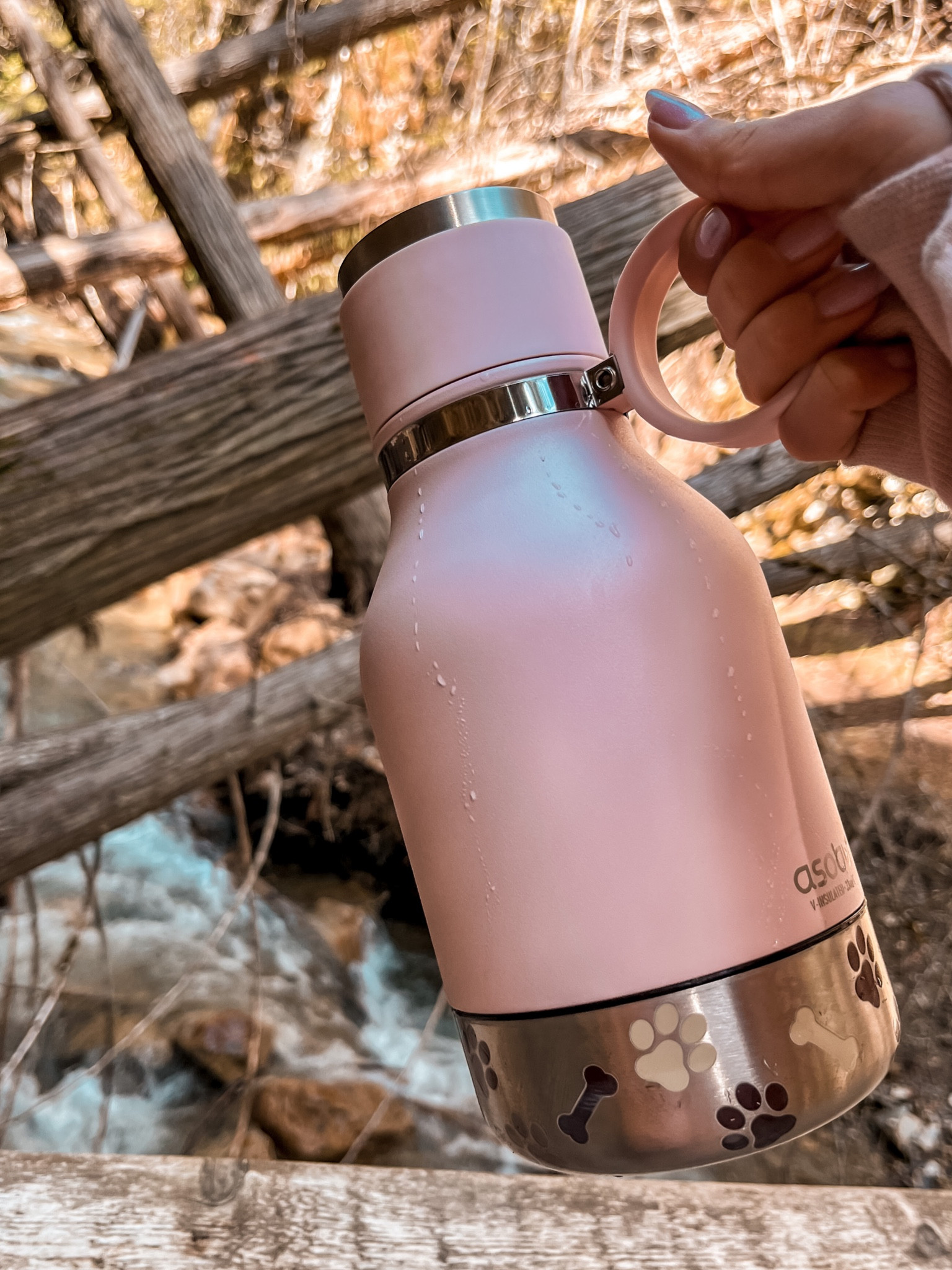 The best travel companion for your dogs ! 

#LTKFind #LTKunder100 #LTKtravel