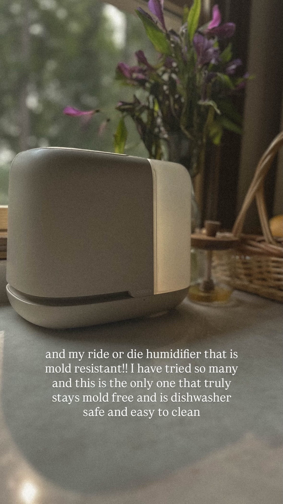 Best mold resistant humidifier for cold and flu season🤧

#LTKmomlife