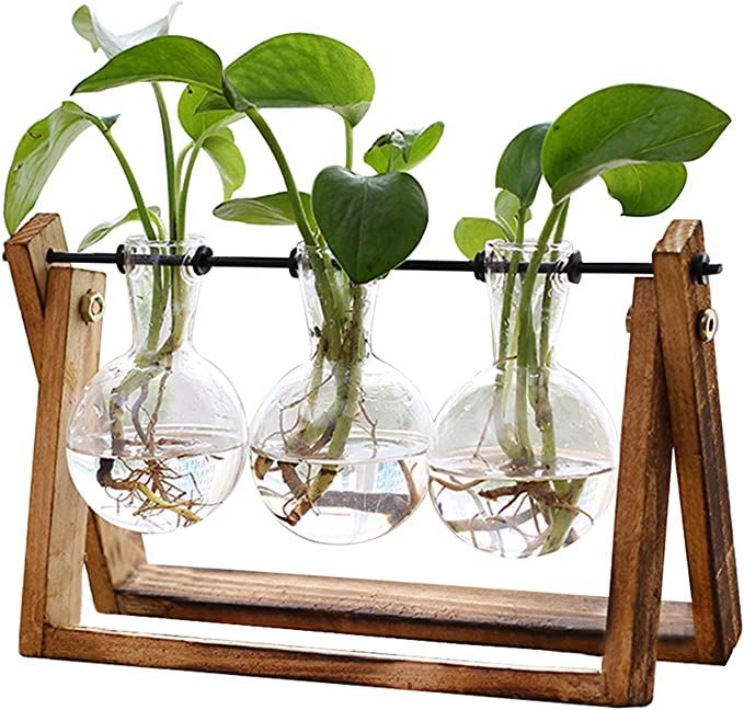 Amazon.com: XXXFLOWER Plant Terrarium with Wooden Stand, Air Planter Bulb Glass Vase Metal Swivel... | Amazon (US)