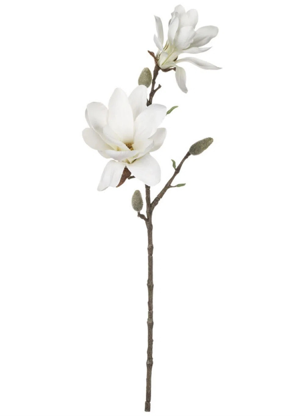 Magnolia Arrangement | Wayfair North America
