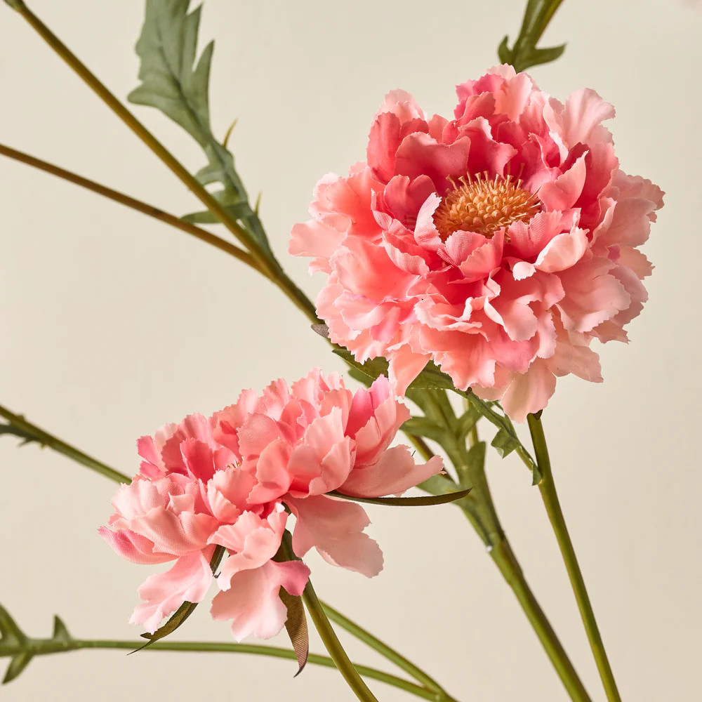 Real Touch Scabiosa Stem | Magnolia