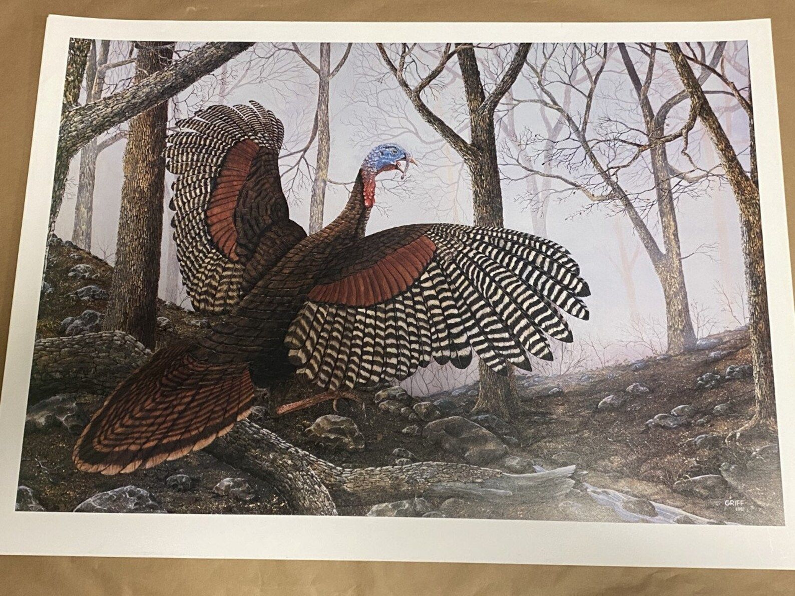 Read the full title
    1987 GRIFF Art Print, Fall Wild Turkey on Mountain Top - Unframed - SC AR... | Etsy (US)