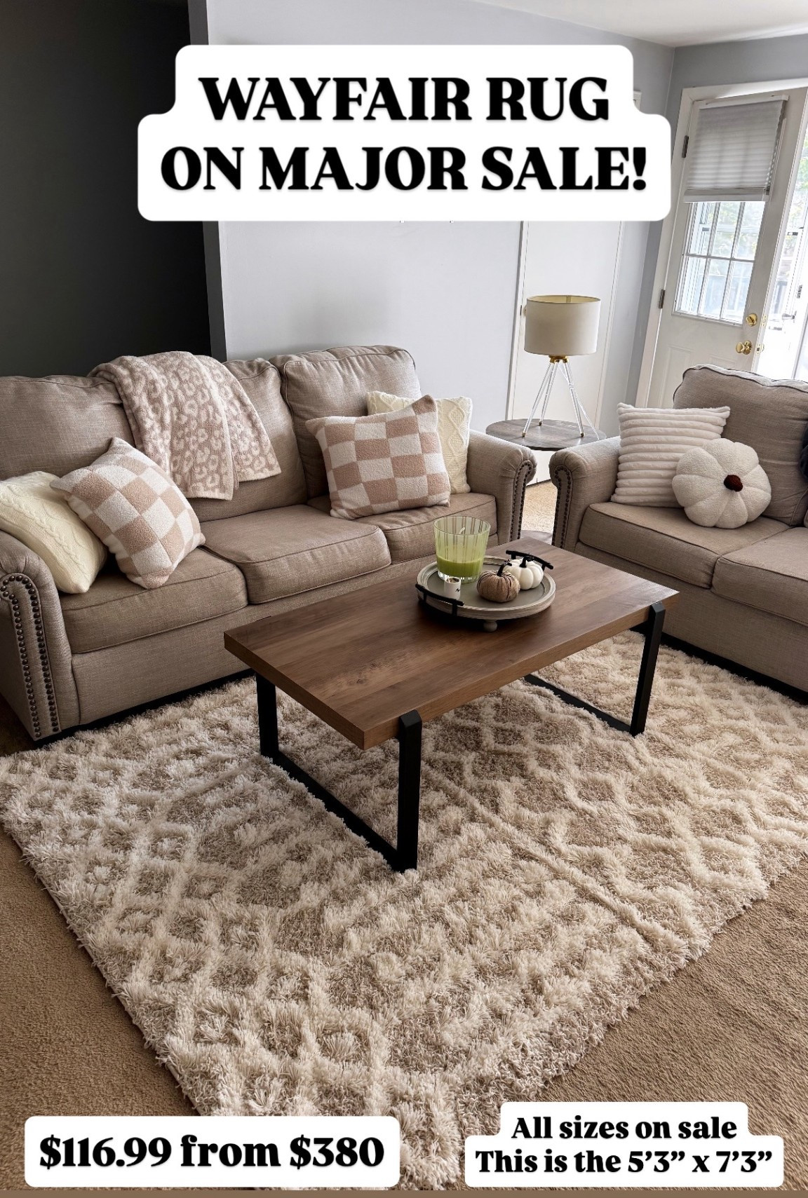 Wayfair deals. Area rug. Way Day sale 

#LTKSaleAlert #LTKSeasonal #LTKHome