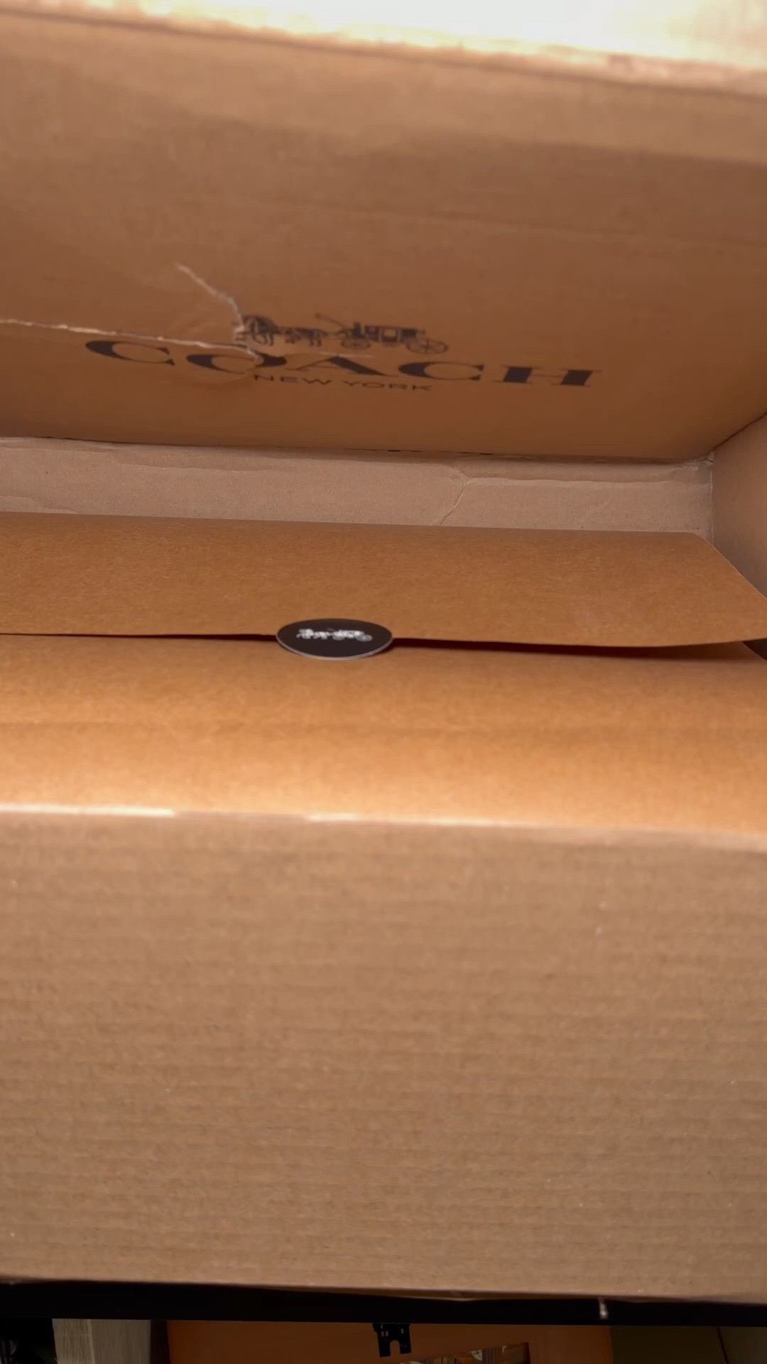 COACH SHOE UNBOXING @Macys #coach #shoes #springsale #beauty #style #fashion #makeup #ootd #sale #deals #finds #affordable #haul #designer #spring #mom #momlife #travel #vacation #active #ootd 

#LTKSpringSale #LTKootd #LTKBeauty