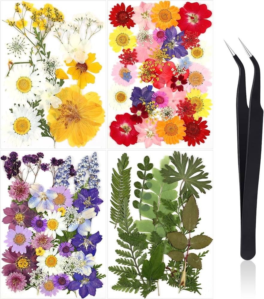 Nuanchu Pressed Flowers Bulk Dried Flower for Crafts, Dried Wildflowers Leave Natural with Tweeze... | Amazon (US)
