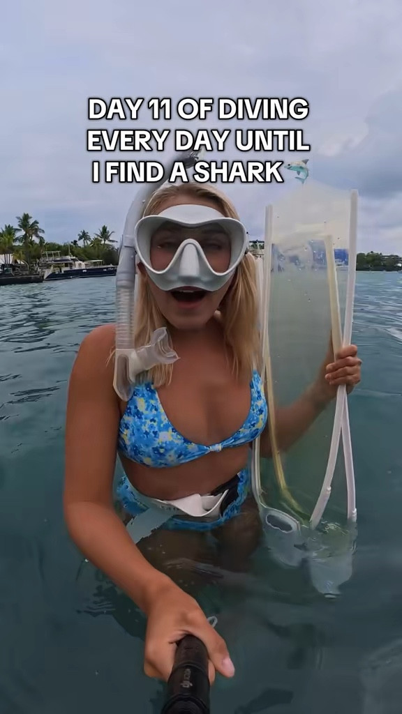 Day 11 of trying to find a shark!

#LTKSwim #LTKActive #LTKTravel