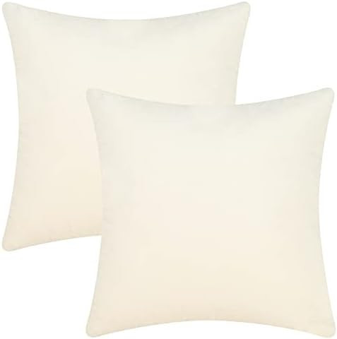 Amazon.com: Set of 2 Throw Pillow Covers, Velvet Decorative Pillow Covers, Square Soft Solid Cush... | Amazon (US)