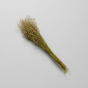 Dried Flax | Bloomist