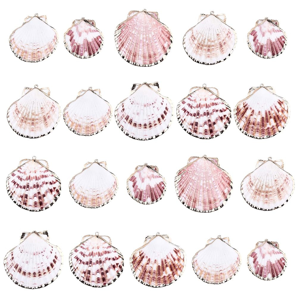 SUNNYCLUE 1 Box 30Pcs Sea Shell Charms Bulk Natural Shell Charm Colorful Summer Beach Ocean Sea C... | Amazon (US)