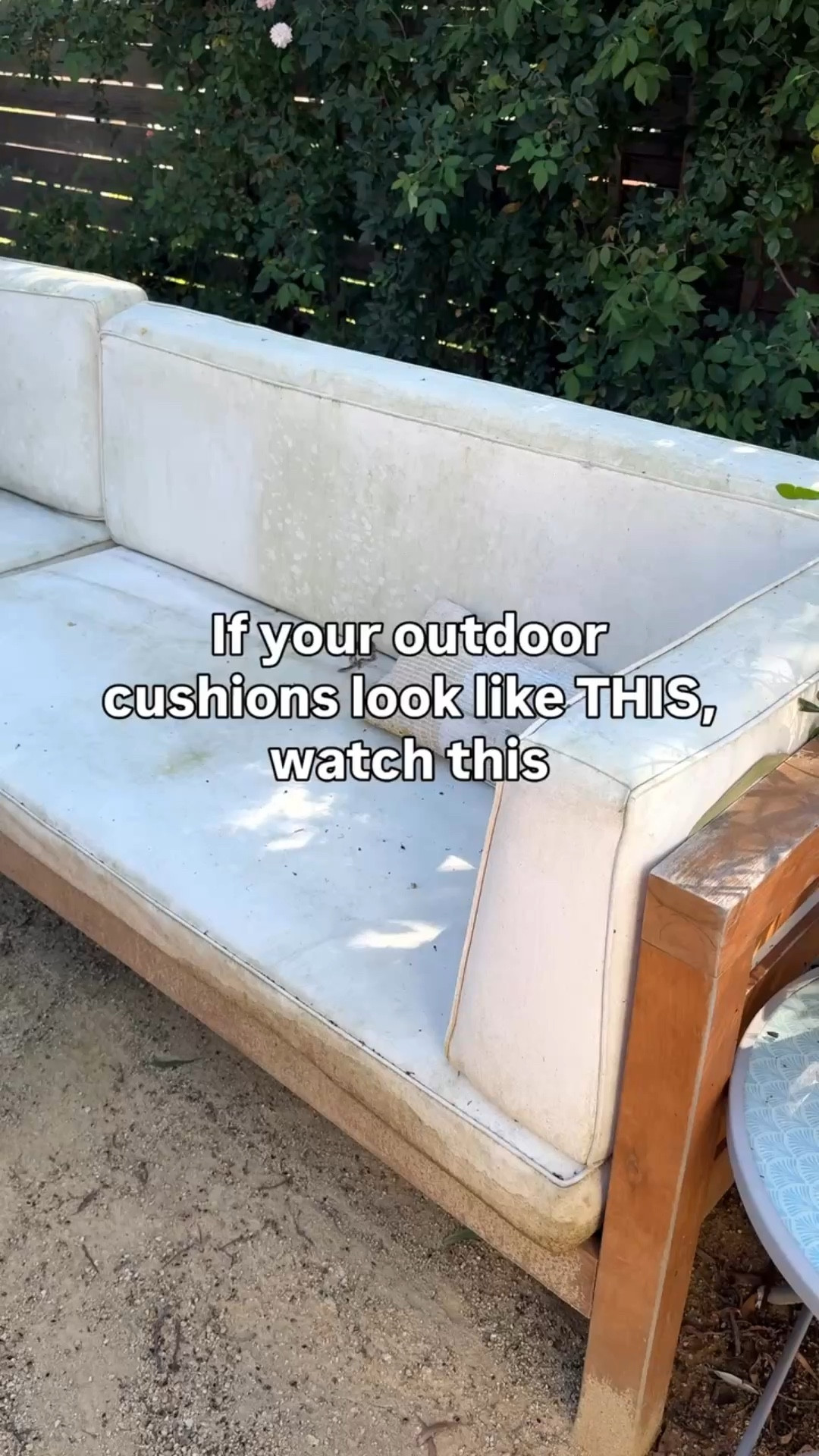 How to clean dirty outdoor cushions (fast and actually works)

I forgot to cover my patio and my outdoor cushions got BAD - stains, buildup, all of it. It was looking far from cozy. 

This outdoor cleaner completely brought them back with barely any effort.

If your outdoor space is starting to look a little neglected, do this before you decide it’s time to replace anything.

You’ll want to save this before your next patio reset. Comment SHOP for the links to everything I used. 

And follow for cozy home decor, beginner gardening, and outdoor living.
