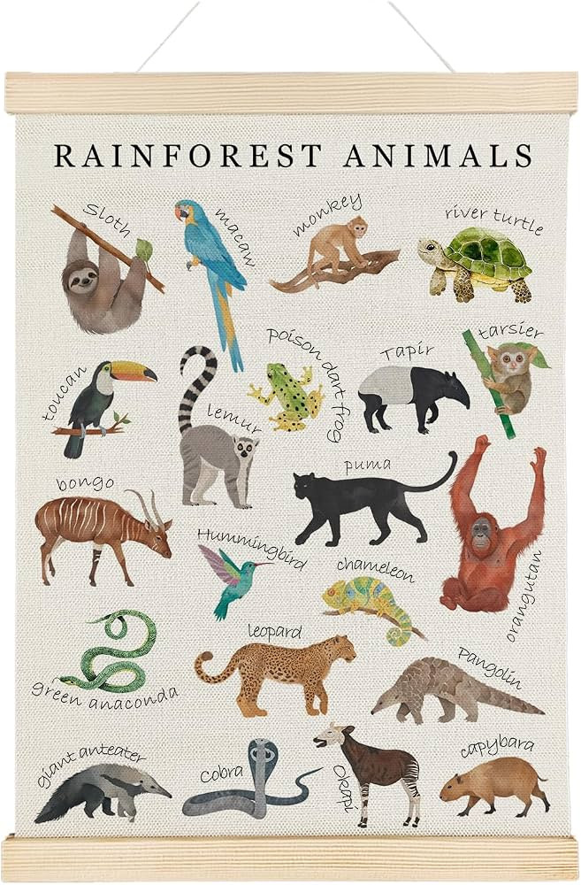 Nrleey Rainforest Animals Wall Art - Educational Poster Hanger Frame, Nursery Decor, 12x16 Inches | Amazon (US)