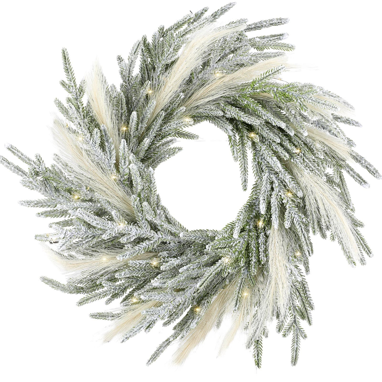 Juexica 19.7 Inch Lighted Christmas Wreaths for Front Door Flocked Norfolk Pine Wreaths with Boho... | Amazon (US)