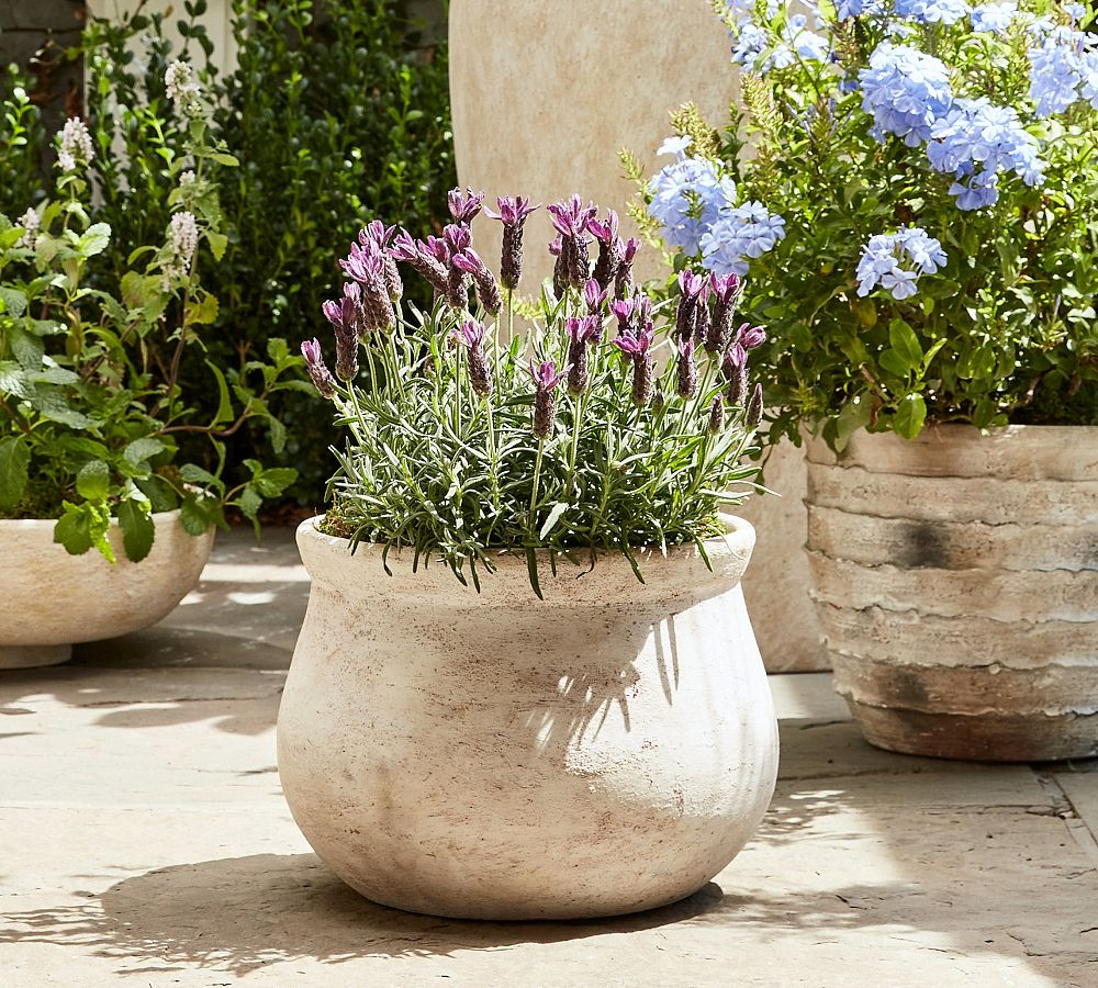 Artisan Handcrafted Cachepots | Pottery Barn (US)