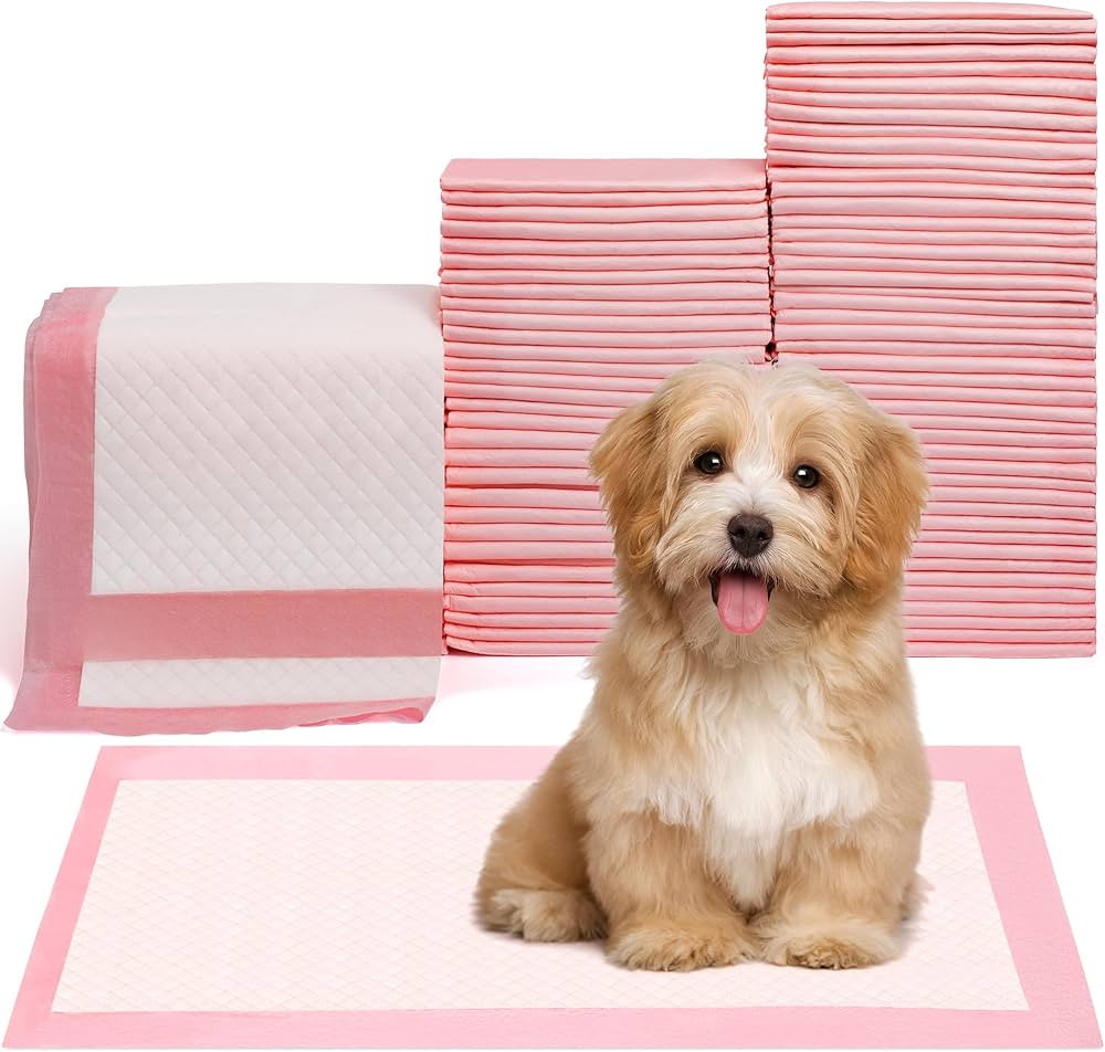 Pet Toilet Training Pads 100Count Disposable Puppy Pee Pads 18" x 13" for Dogs, Ultra Absorbent|Q... | Amazon (US)