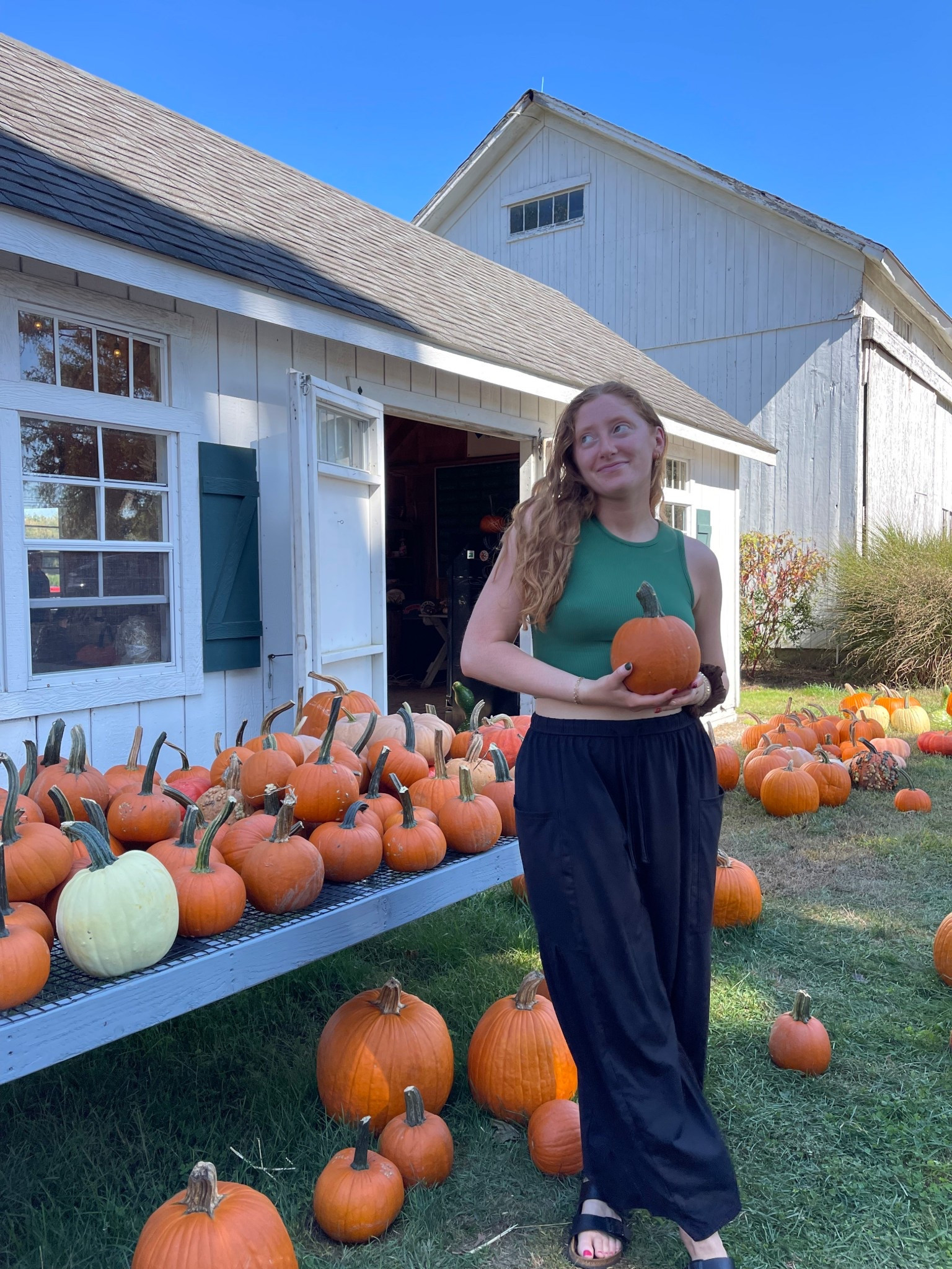 October 5th fit 

#LTKMidsize #LTKTravel #LTKStyleTip