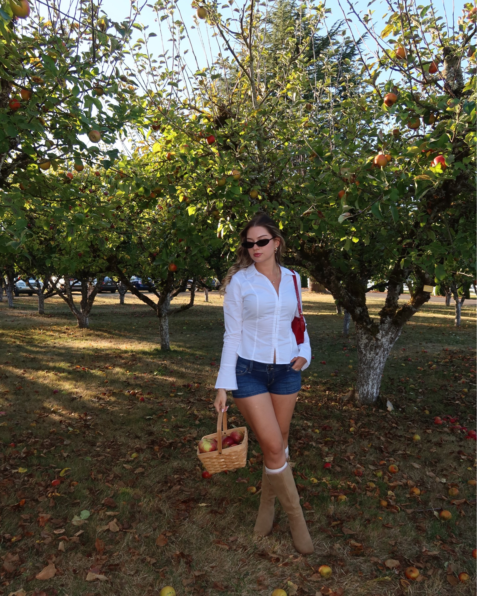 My favorite season 🍎🍂

#applepicking #libraseason #oldworldapples

#LTKSeasonal #LTKootd #LTKdayinmylife