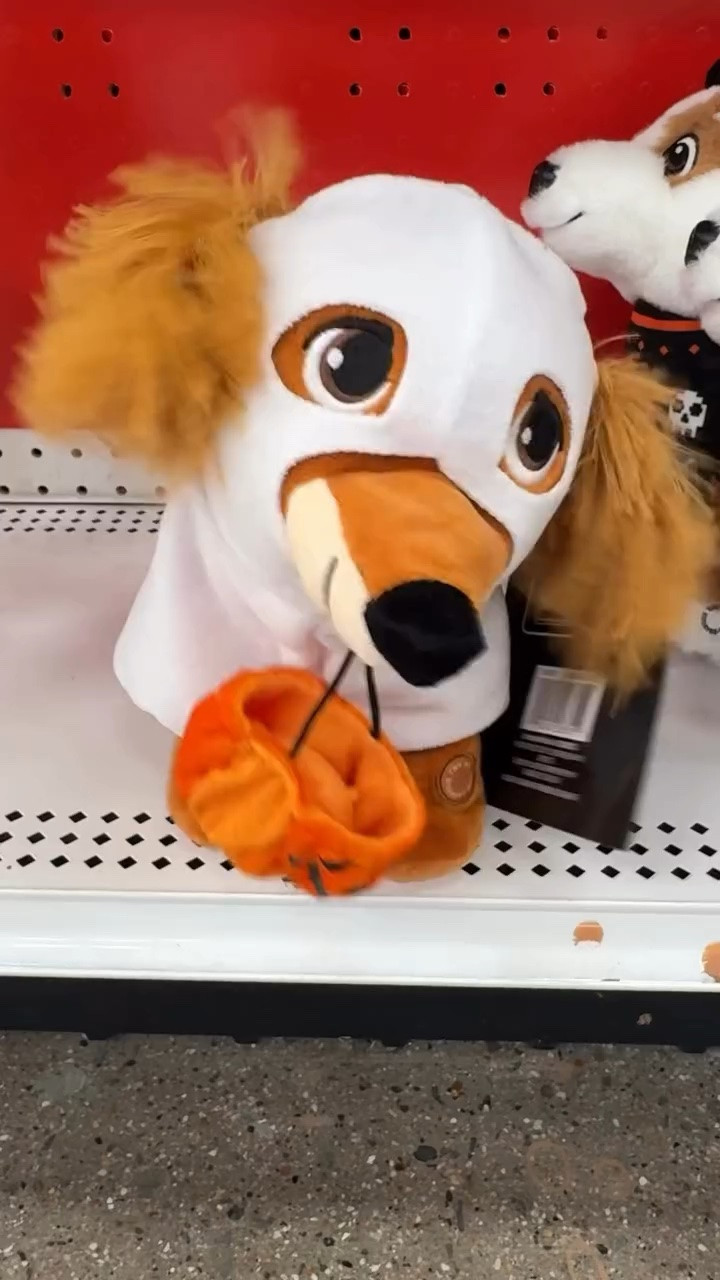 The cutest Halloween plushies🐶 🎃 #halloween #halloweendecor #halloweenplushies

#LTKSeasonal #LTKdayinmylife