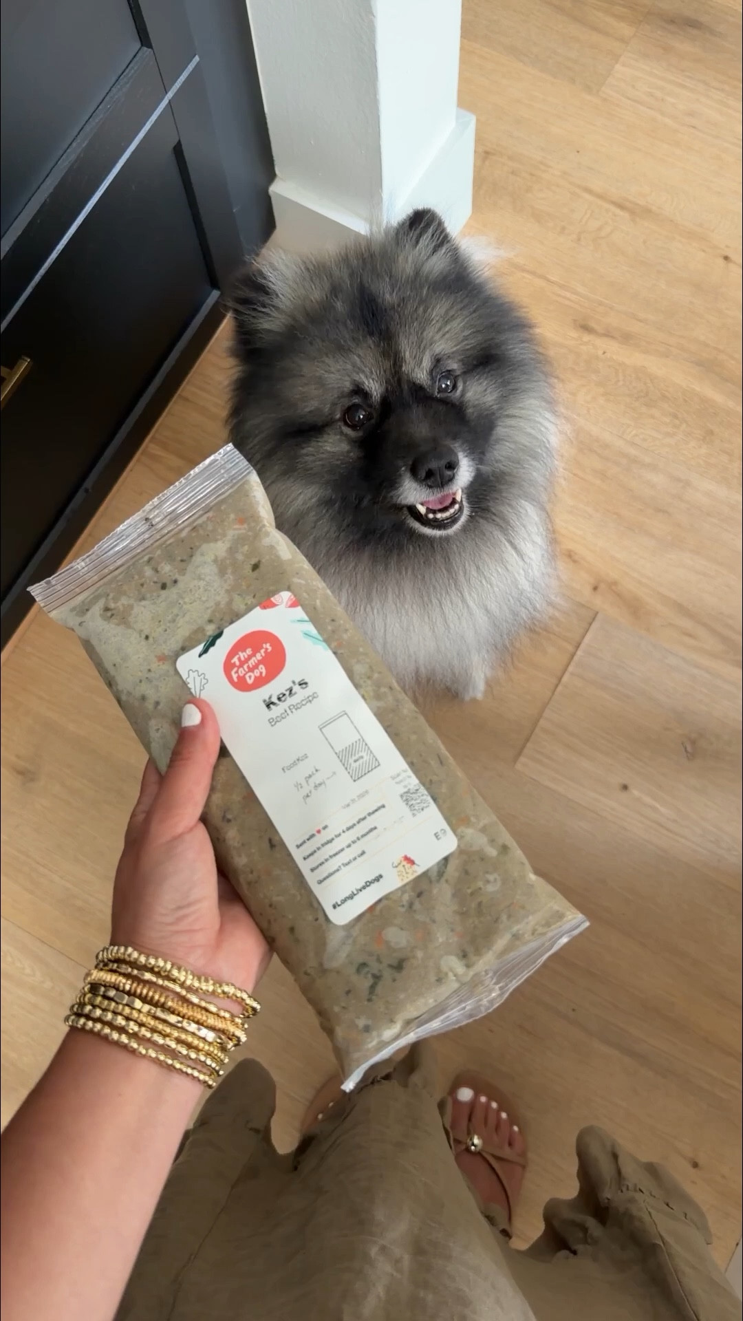Spring just feels better when you can bring your dog along 🐾  I’ve been feeding him fresh, pre portioned meals from @thefarmersdog and it’s made it so easy to keep him feeling his best for all our time outside. Save 60% off your first box of The Farmer’s Dog

 #TFDpartner #thefarmersdog
