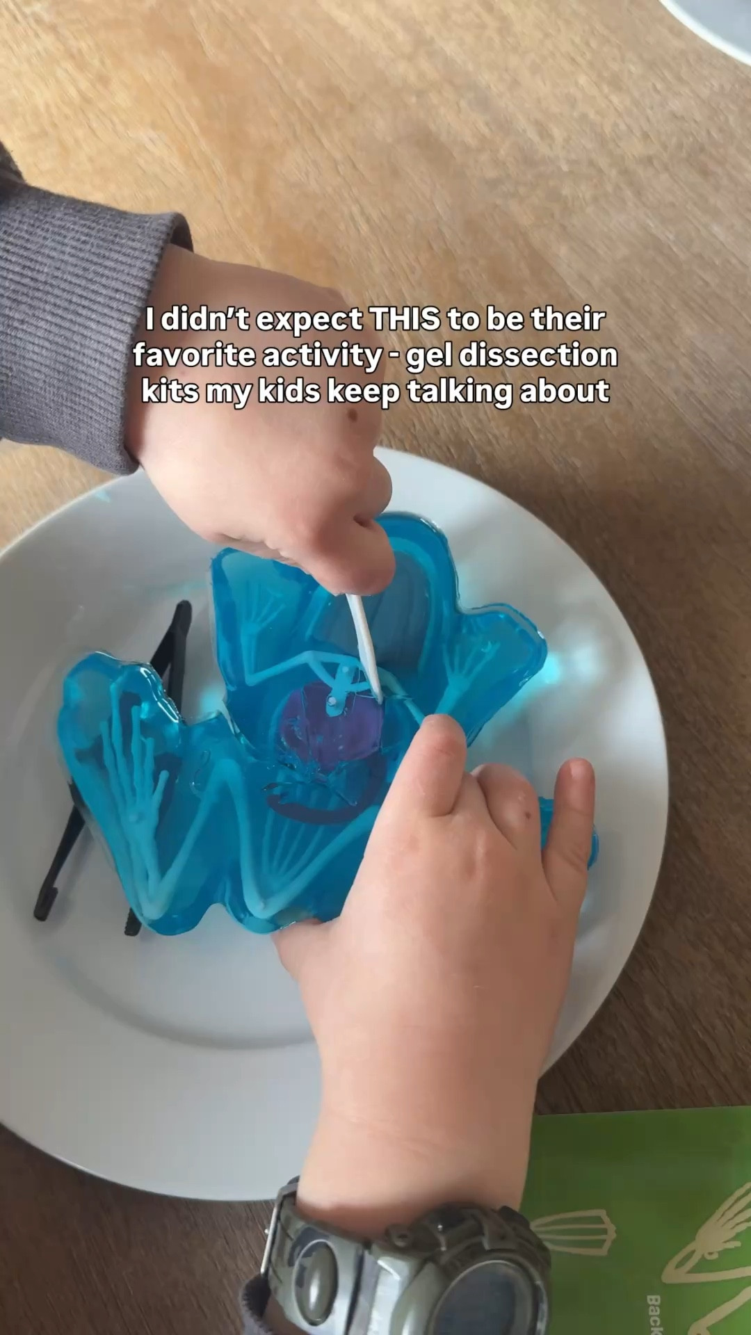 I didn’t expect this to be such a hit… but wow 😅 Hands-on science that keeps them busy way longer than anything else. 

#LTKKids #LTKmomlife