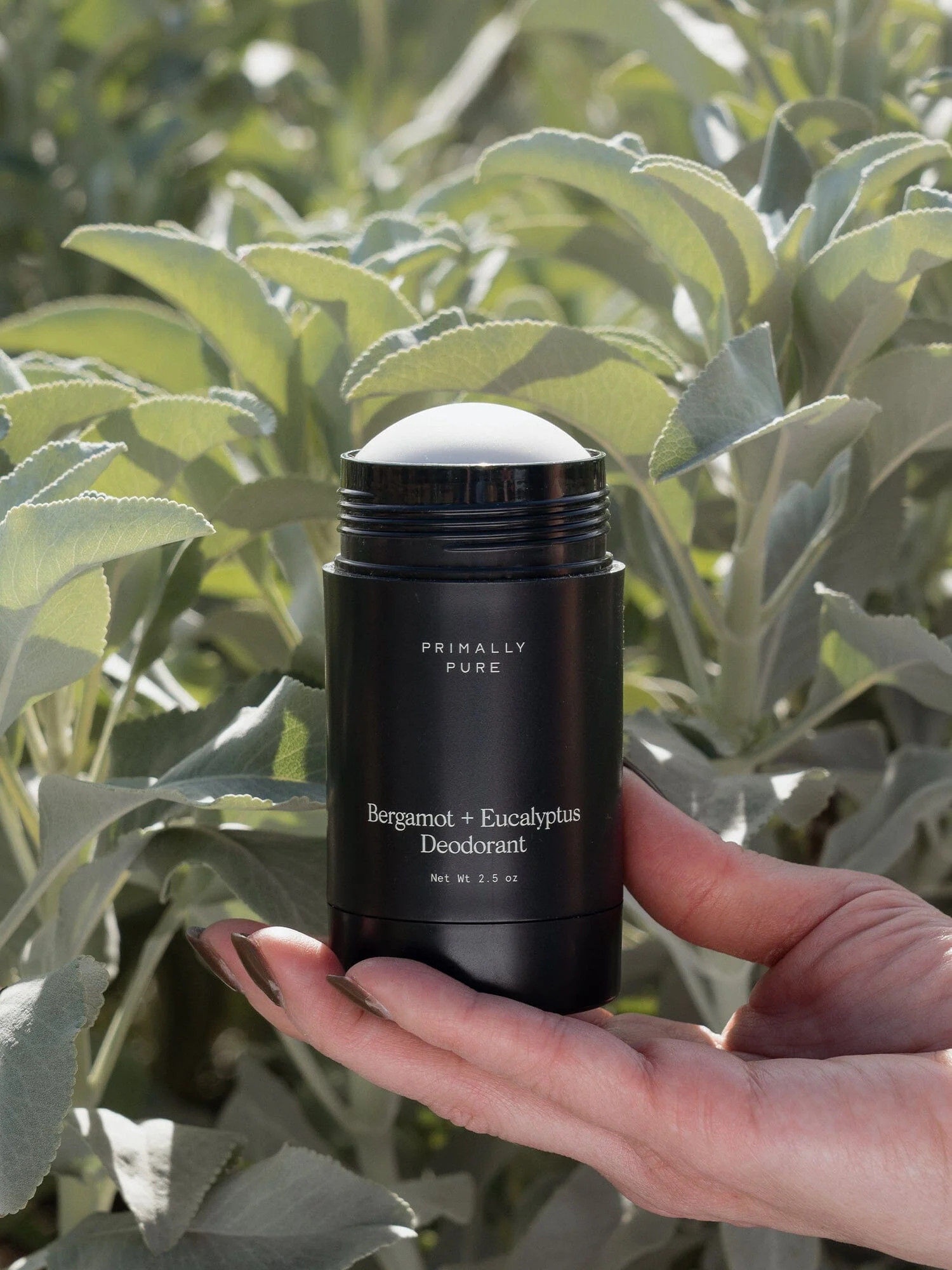 Bergamot + Eucalyptus Deodorant | Primally Pure