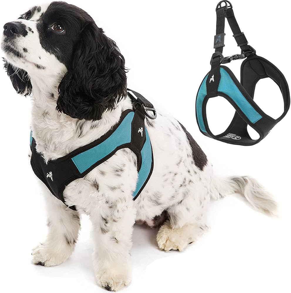 Gooby Escape Free Easy Fit Harness - Turquoise, X-Small - No Pull Step-in Patented Small Dog Harn... | Amazon (US)