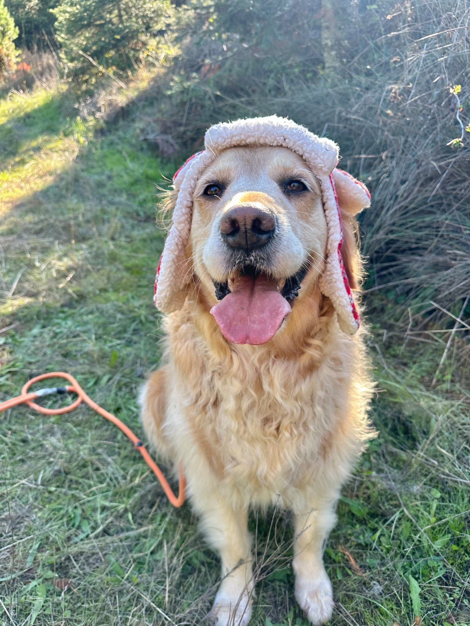 Every good boy and girl needs a new hat for the holidays  

#LTKGiftGuide #LTKCyberWeek #LTKFindsUnder50