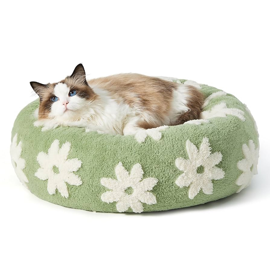 LE SURE Donut Small Dog Bed - Round Cat Beds for Indoor Cats Calming Pet Beds, Cute Modern Beds w... | Amazon (US)