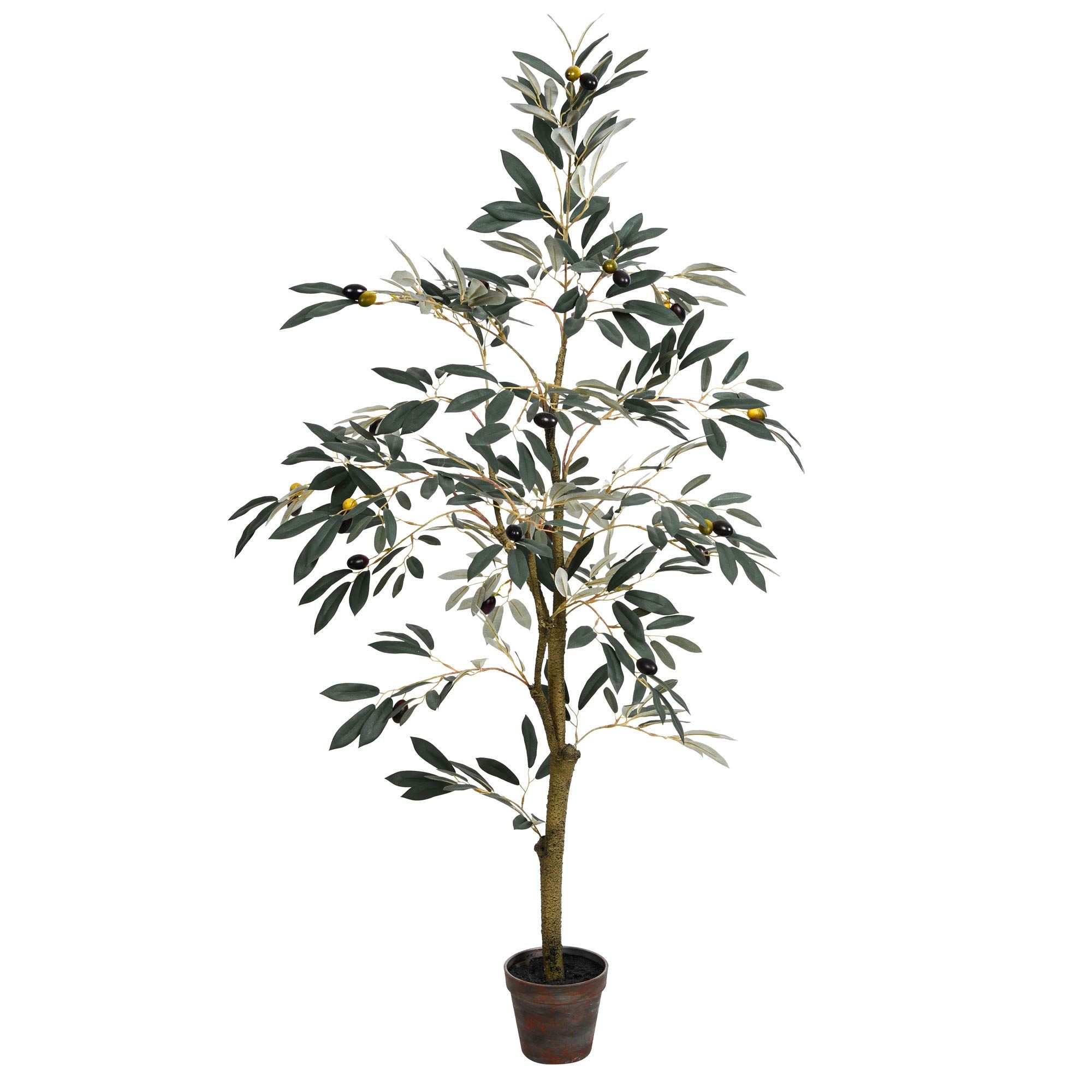 Vickerman Everyday Faux Olive Tree 4 Foot Tall Green Silk Potted Artificial Indoor Olive Plant With  | Amazon (US)