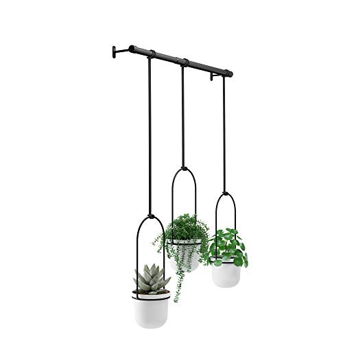Umbra Triflora Hanging Planter for Window, Indoor Herb Garden, White/Black, Triple | Amazon (US)