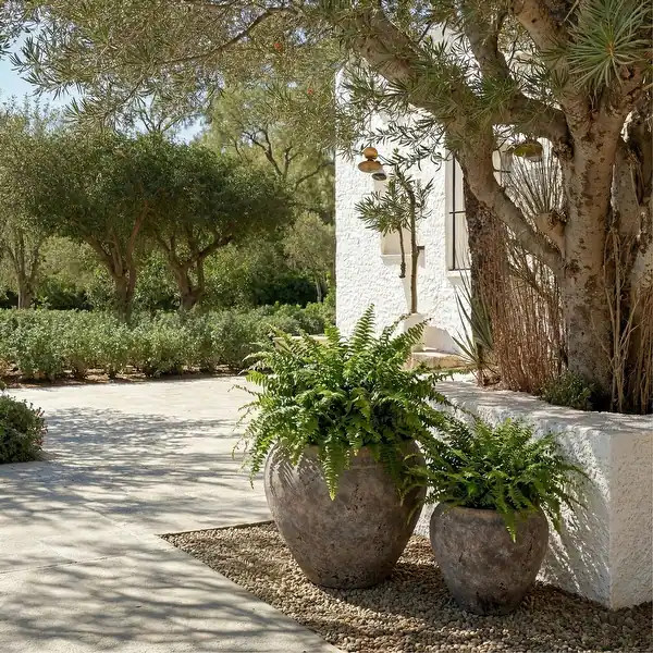 SAFAVIEH Outdoor Patio Furniture Ramsey Planter Pot with Drainage - 14"W x 14"D x 13"H - Antique ... | Bed Bath & Beyond