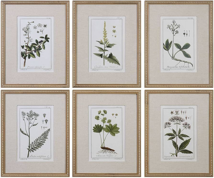 Uttermost 33651 Green Floral Botanical Study Framed Prints - 6-Piece Wall Art Set | Amazon (US)