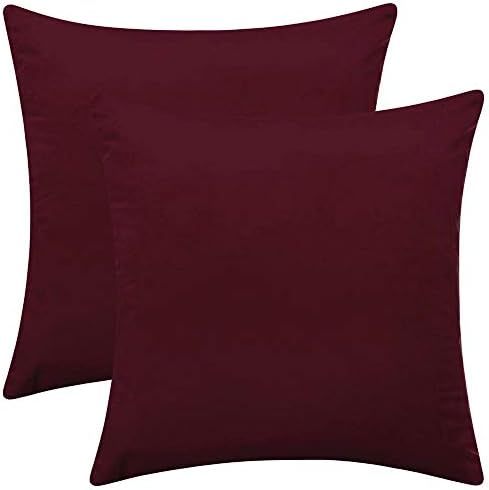 Rythome Set of 2 Comfortable Velvet Throw Pillow Cases, Decorative Solid Cushion Covers for Sofa Cou | Amazon (US)
