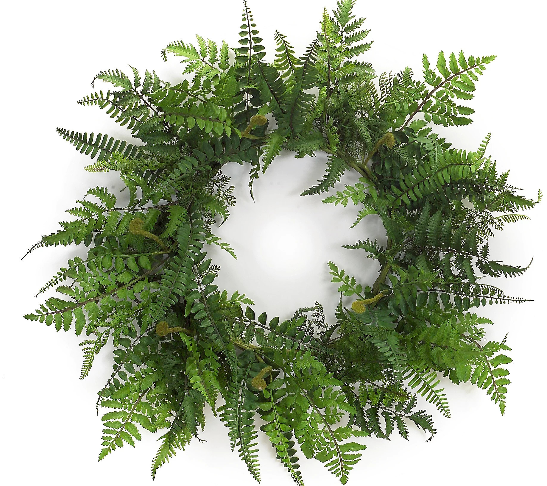 Melrose Mixed Fern Floral Grapevine Wreath 24""D | QVC
