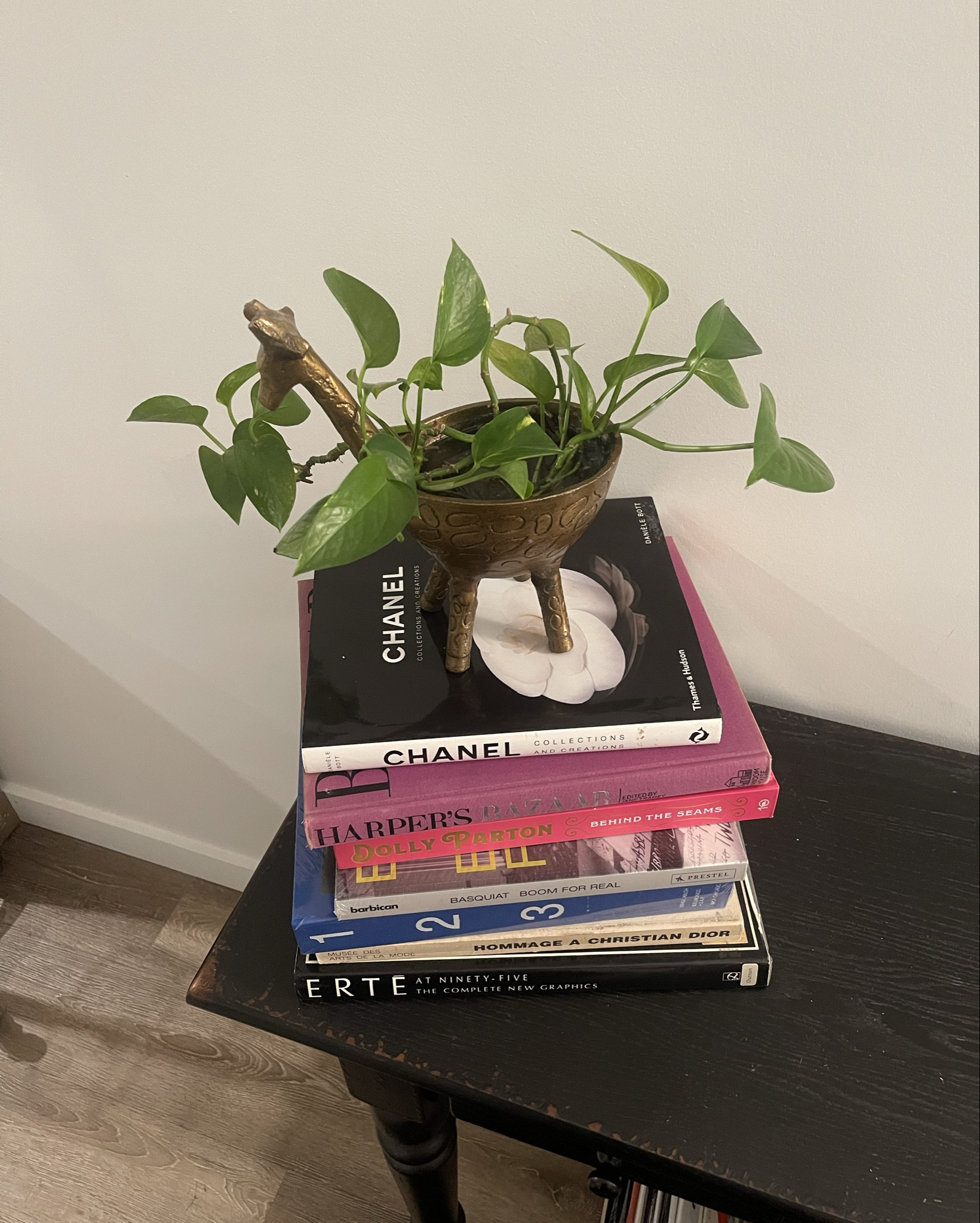 The cutest planter 

#LTKGiftGuide #LTKfindsunder50 #LTKhome