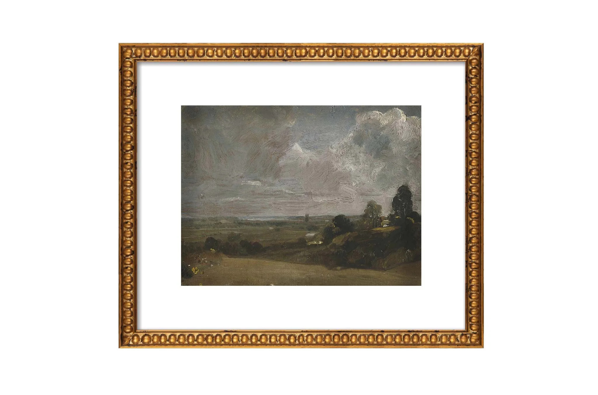 Green Landscape | North and Finch