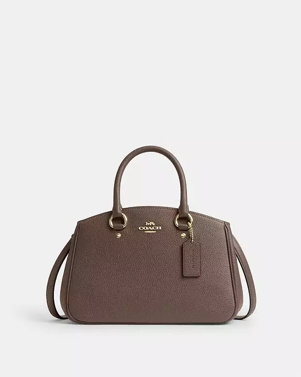 Savannah Small Carryall Bag | Coach Outlet US