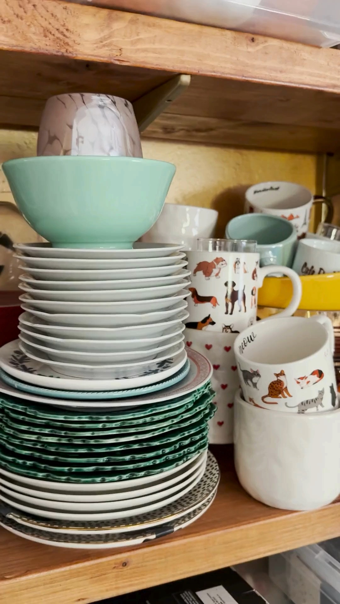 You know you’re a mosaic artist when your plates are no longer considered dinnerware…they’re future projects. ✨

I swear certain colors and patterns just follow me home. Anyone else collecting plates that are absolutely not for eating anymore? 😂

If you’re into mosaic art, broken plate projects, or upcycled art supplies, you probably understand this situation very well.

For mosaic tips, tutorials, inspiration, and so much more please visit my YouTube channel: YouTube.com/julieweilbacher, and follow @julieweilbacher on Instagram.

#ceramicmugs #plates #dogmug #dogmom #catmug #catmom #mosaic #brokenplateart #platecrafts #springhomedecor #springcrafts #upcycledart

#LTKHome