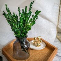 Preserved Diy Crafts Stabilized Boxwood Leaves Tall Wedding Garlands Home Decorations Bouquets Flower Arrangements Wall Hanging Dried | Etsy (US)