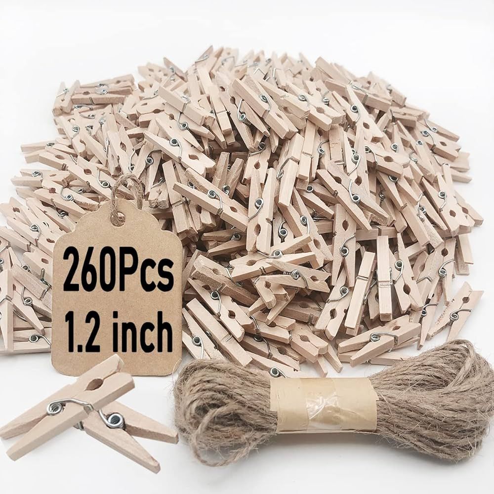 Mini Clothes Pins, 260 PCS Small Wooden Clothes Pins with Jute Twine, Clothespins, Clothes Pins f... | Amazon (US)