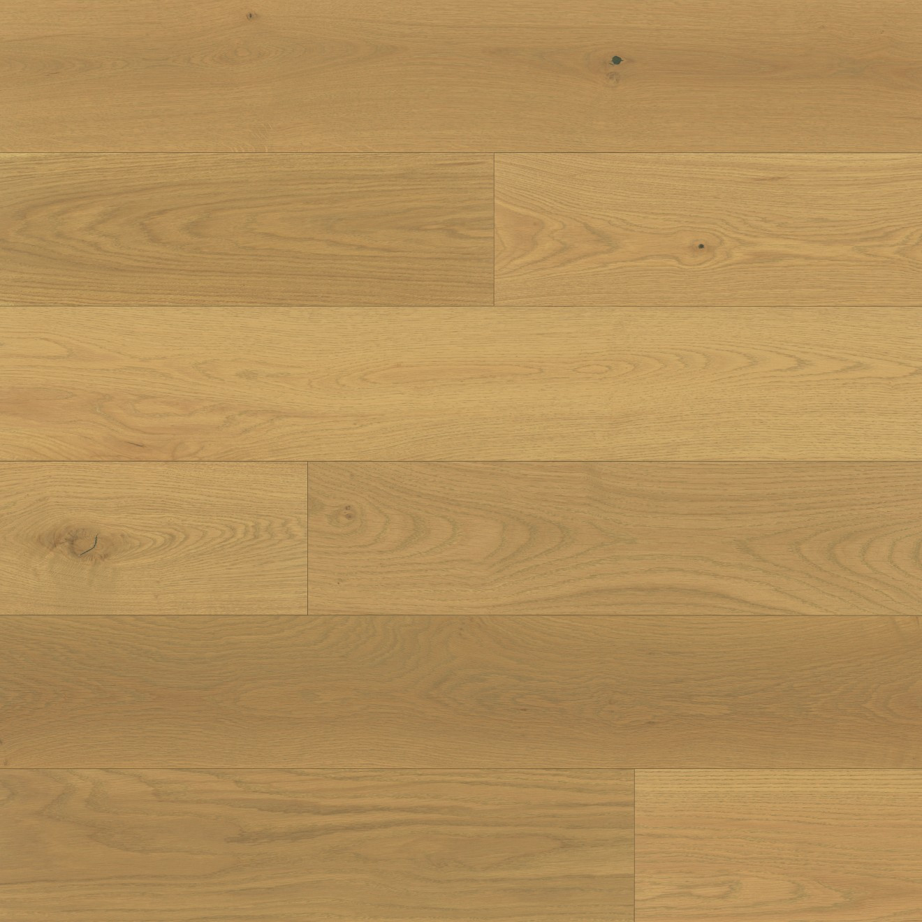 Newport 7.5" x 75" Engineered Hardwood Plank in Sand | Bedrosians Tile and Stone